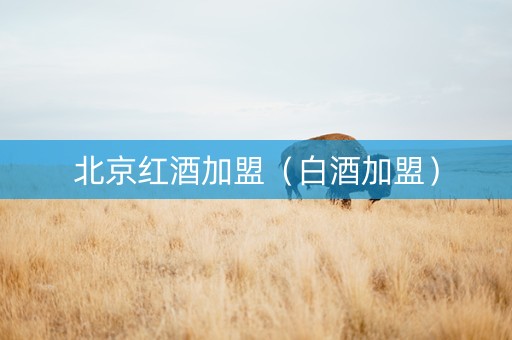 北京红酒加盟（白酒加盟）