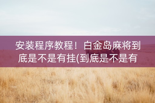 安装程序教程！白金岛麻将到底是不是有挂(到底是不是有挂)