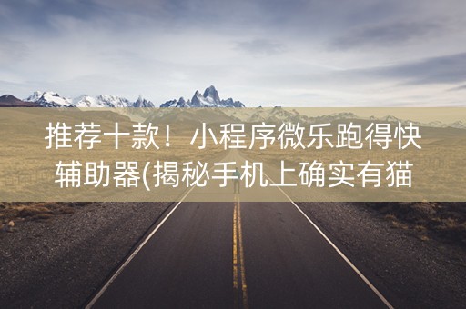推荐十款！小程序微乐跑得快辅助器(揭秘手机上确实有猫腻)