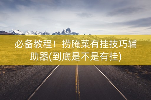 必备教程！捞腌菜有挂技巧辅助器(到底是不是有挂)