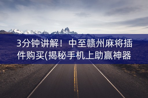 3分钟讲解！中至赣州麻将插件购买(揭秘手机上助赢神器)