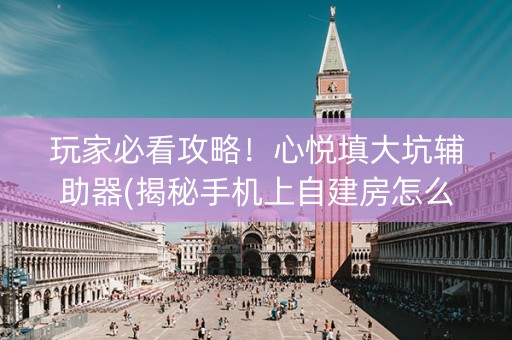 玩家必看攻略！心悦填大坑辅助器(揭秘手机上自建房怎么赢)
