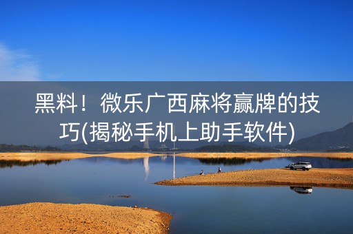 黑料！微乐广西麻将赢牌的技巧(揭秘手机上助手软件)