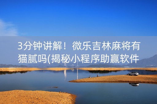 3分钟讲解！微乐吉林麻将有猫腻吗(揭秘小程序助赢软件)