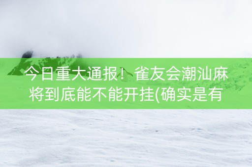 今日重大通报！雀友会潮汕麻将到底能不能开挂(确实是有挂)