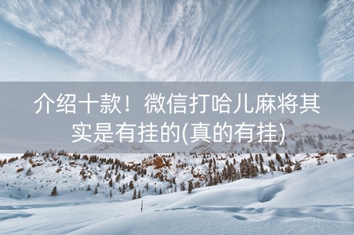 介绍十款！微信打哈儿麻将其实是有挂的(真的有挂)