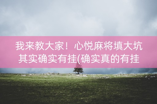 我来教大家！心悦麻将填大坑其实确实有挂(确实真的有挂)