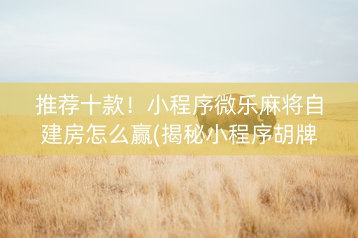 推荐十款！小程序微乐麻将自建房怎么赢(揭秘小程序胡牌神器)