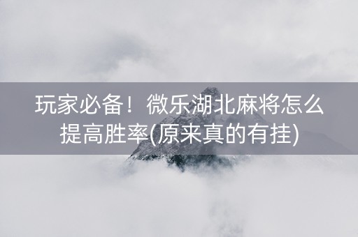 玩家必备！微乐湖北麻将怎么提高胜率(原来真的有挂)