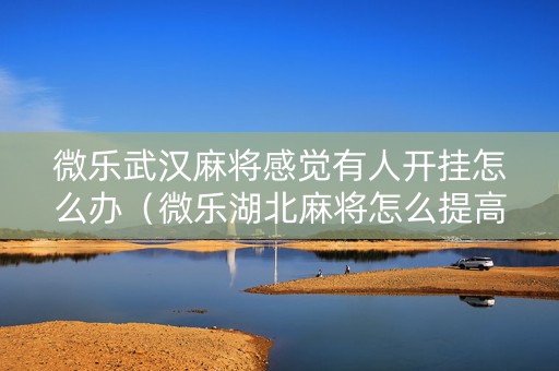 微乐武汉麻将感觉有人开挂怎么办（微乐湖北麻将怎么提高胜率）