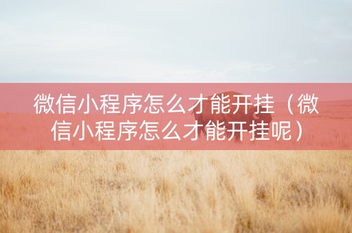 微信小程序怎么才能开挂（微信小程序怎么才能开挂呢）