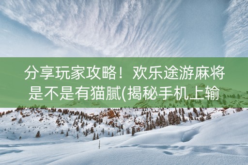 分享玩家攻略！欢乐途游麻将是不是有猫腻(揭秘手机上输赢技巧)