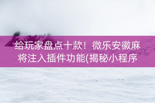 给玩家盘点十款！微乐安徽麻将注入插件功能(揭秘小程序助赢软件)