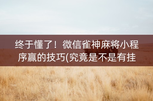 终于懂了！微信雀神麻将小程序赢的技巧(究竟是不是有挂)