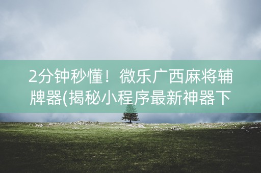 2分钟秒懂！微乐广西麻将辅牌器(揭秘小程序最新神器下载)