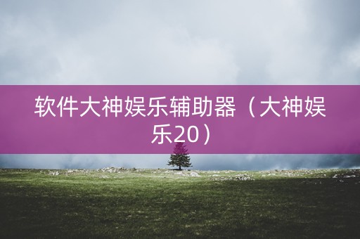 软件大神娱乐辅助器（大神娱乐20）