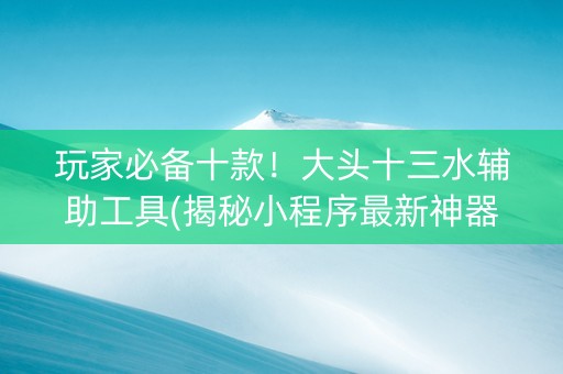 玩家必备十款！大头十三水辅助工具(揭秘小程序最新神器下载)