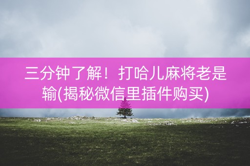 三分钟了解！打哈儿麻将老是输(揭秘微信里插件购买)