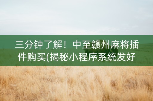三分钟了解！中至赣州麻将插件购买(揭秘小程序系统发好牌)