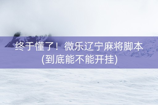 终于懂了！微乐辽宁麻将脚本(到底能不能开挂)