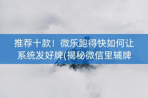 推荐十款！微乐跑得快如何让系统发好牌(揭秘微信里辅牌器)