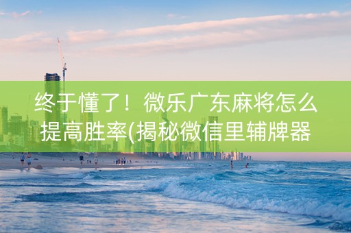 终于懂了！微乐广东麻将怎么提高胜率(揭秘微信里辅牌器)