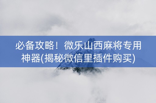 必备攻略！微乐山西麻将专用神器(揭秘微信里插件购买)