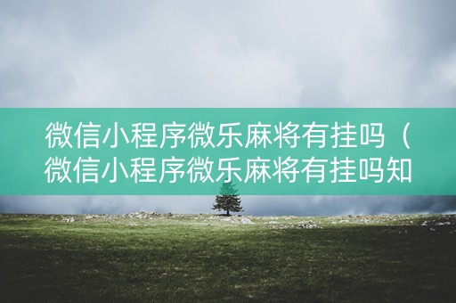 微信小程序微乐麻将有挂吗（微信小程序微乐麻将有挂吗知乎）