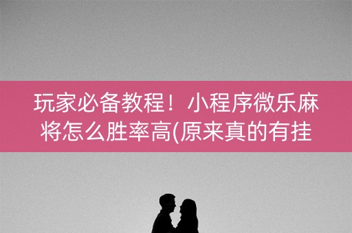 玩家必备教程！小程序微乐麻将怎么胜率高(原来真的有挂)