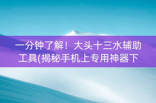 一分钟了解！大头十三水辅助工具(揭秘手机上专用神器下载)