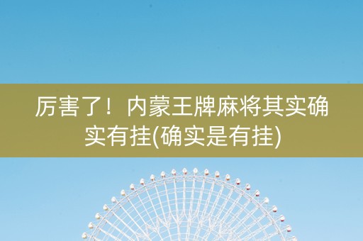 厉害了！内蒙王牌麻将其实确实有挂(确实是有挂)