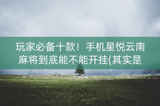 玩家必备十款！手机星悦云南麻将到底能不能开挂(其实是有挂的)