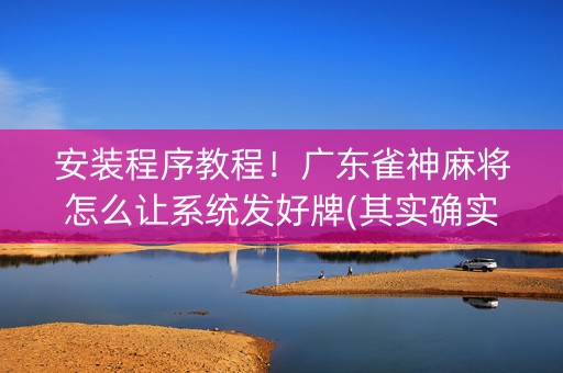 安装程序教程！广东雀神麻将怎么让系统发好牌(其实确实有挂)