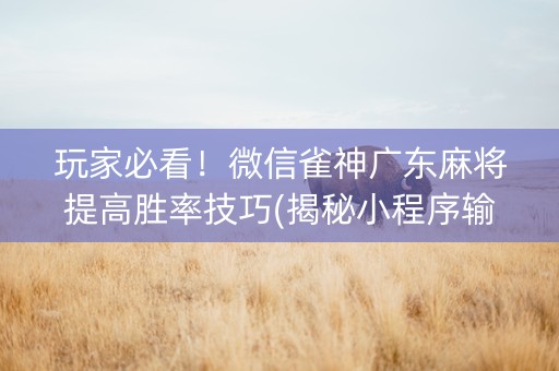 玩家必看！微信雀神广东麻将提高胜率技巧(揭秘小程序输赢规律)