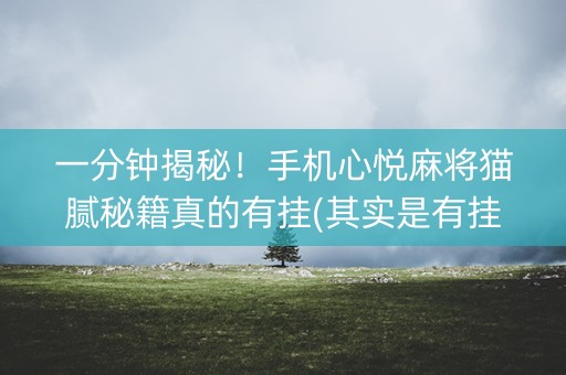 一分钟揭秘！手机心悦麻将猫腻秘籍真的有挂(其实是有挂的)