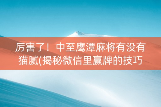 厉害了！中至鹰潭麻将有没有猫腻(揭秘微信里赢牌的技巧)