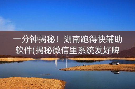 一分钟揭秘！湖南跑得快辅助软件(揭秘微信里系统发好牌)