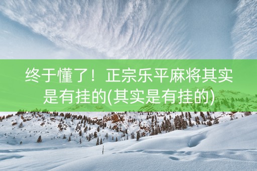 终于懂了！正宗乐平麻将其实是有挂的(其实是有挂的)