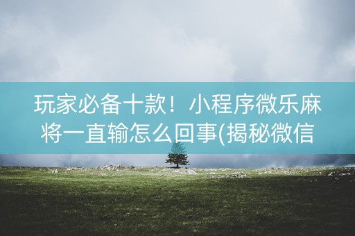 玩家必备十款！小程序微乐麻将一直输怎么回事(揭秘微信里插件免费)