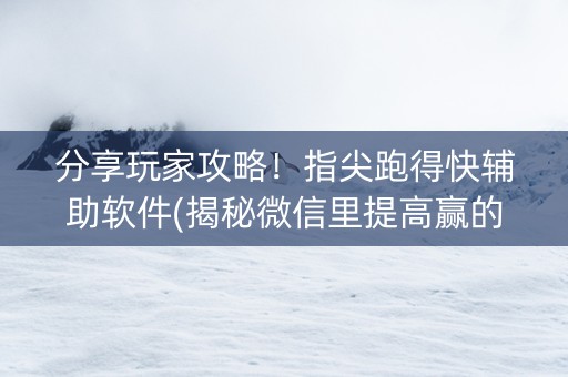 分享玩家攻略！指尖跑得快辅助软件(揭秘微信里提高赢的概率)