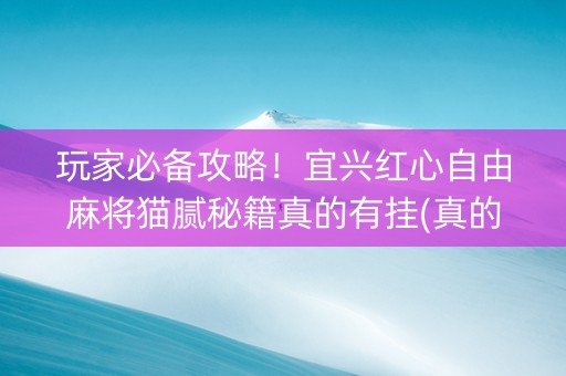 玩家必备攻略！宜兴红心自由麻将猫腻秘籍真的有挂(真的有挂确实有挂)