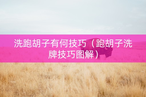 洗跑胡子有何技巧（跑胡子洗牌技巧图解）