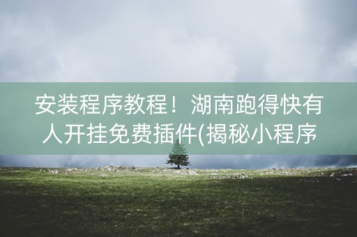 安装程序教程！湖南跑得快有人开挂免费插件(揭秘小程序怎么容易赢)