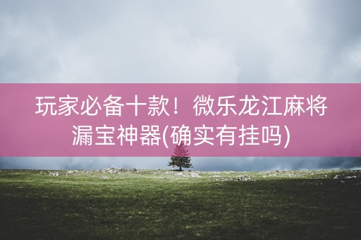 玩家必备十款！微乐龙江麻将漏宝神器(确实有挂吗)