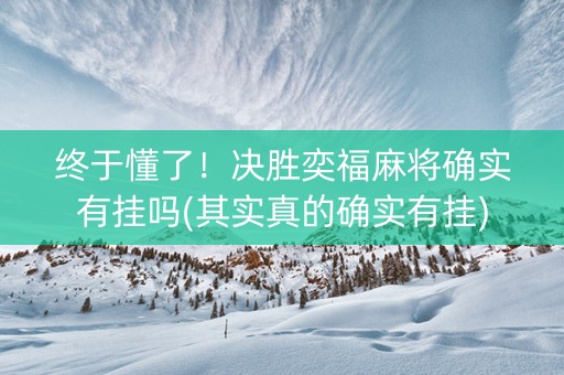 终于懂了！决胜奕福麻将确实有挂吗(其实真的确实有挂)