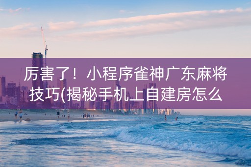 厉害了！小程序雀神广东麻将技巧(揭秘手机上自建房怎么赢)