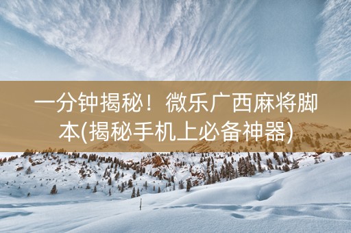 一分钟揭秘！微乐广西麻将脚本(揭秘手机上必备神器)