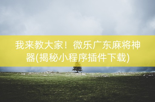 我来教大家！微乐广东麻将神器(揭秘小程序插件下载)