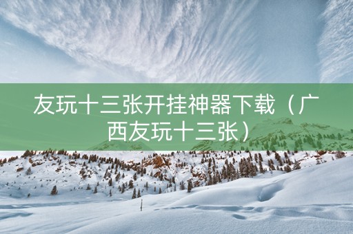 友玩十三张开挂神器下载（广西友玩十三张）