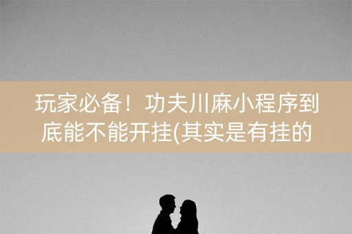 玩家必备！功夫川麻小程序到底能不能开挂(其实是有挂的)
